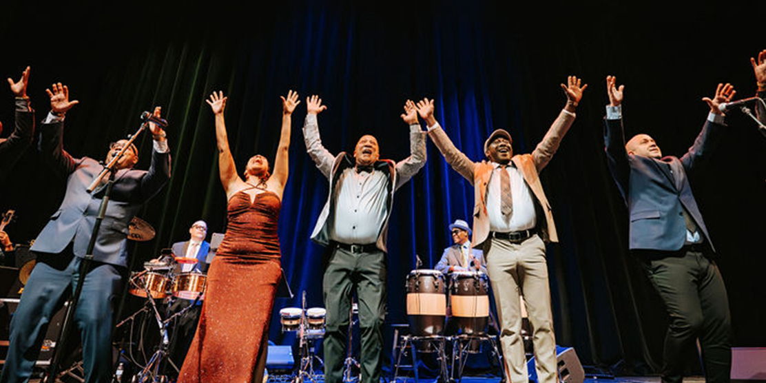 Buena Vista Orchestra promotional image