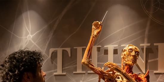 Real Bodies: A Journey Through the Human Experience at the Horseshoe Las Vegas promotional image