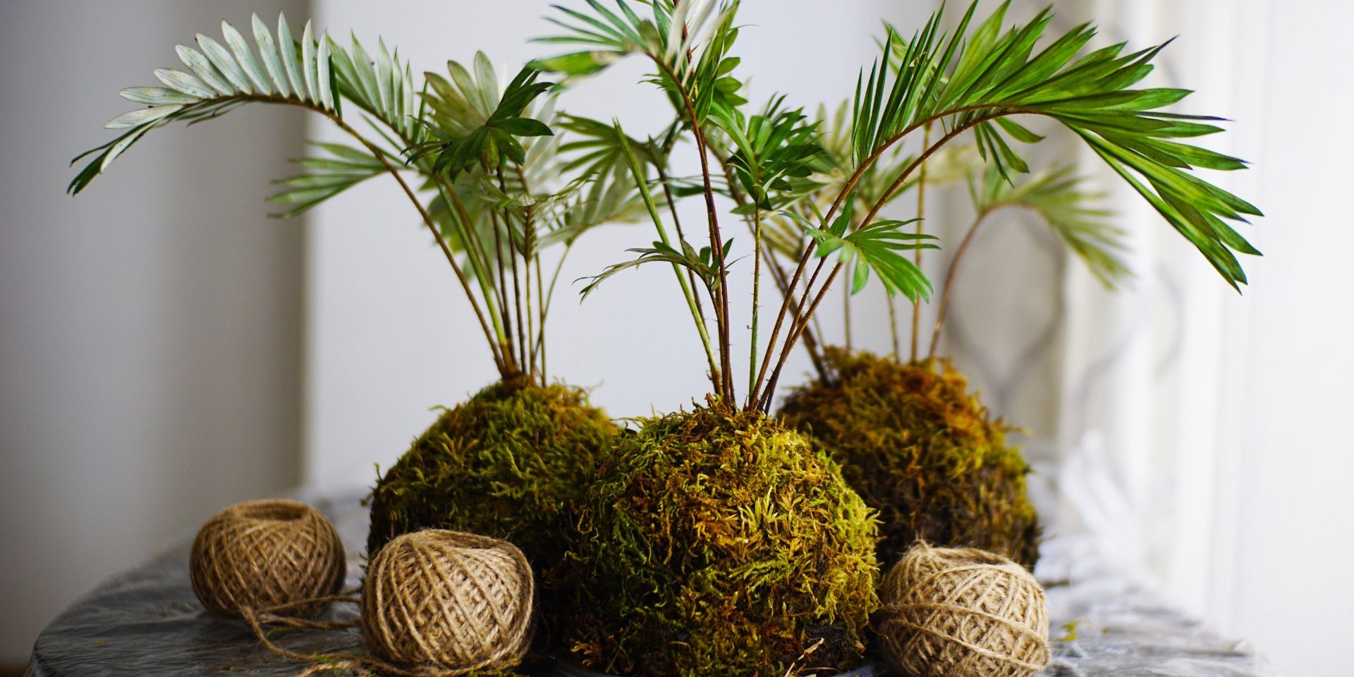 Kokedama Centerpiece Workshop promotional image