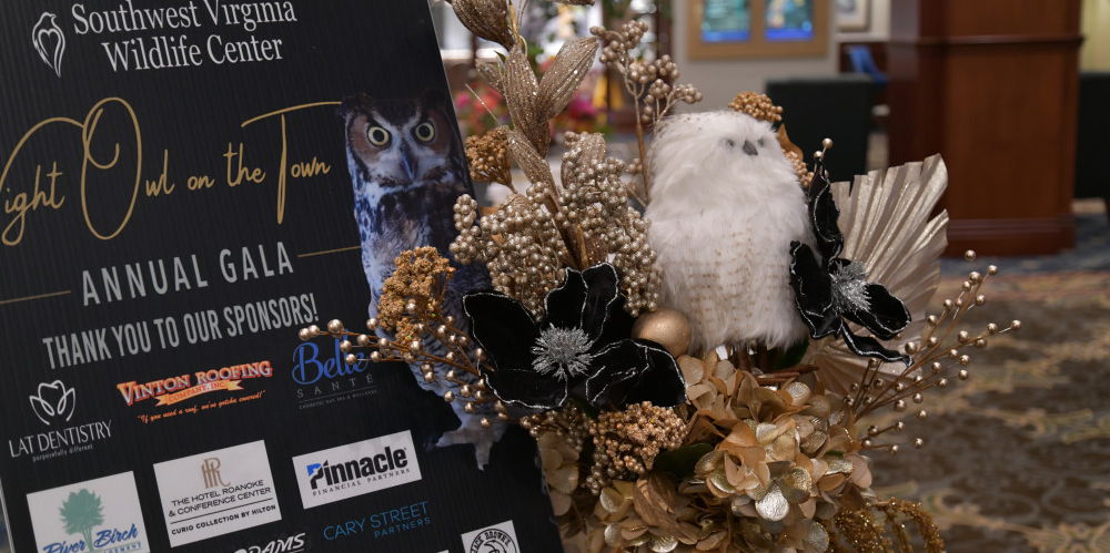Night Owl on the Town 2026 promotional image