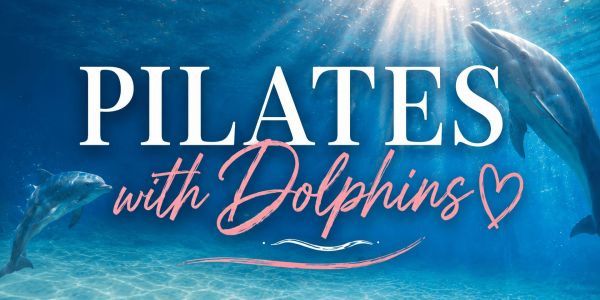 Pilates with Dolphins promotional image