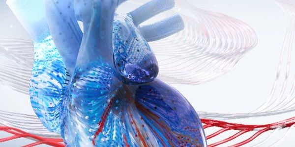 Interventional Cardiology Review Course for Boards and Recertification promotional image