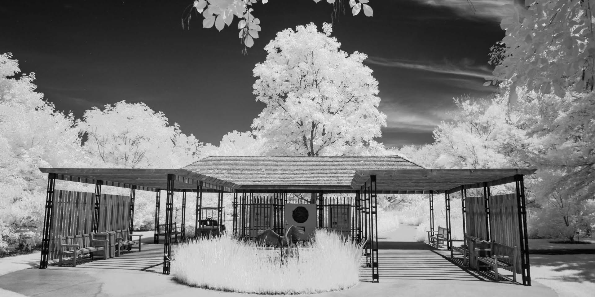 Monochrome Photography Workshop promotional image