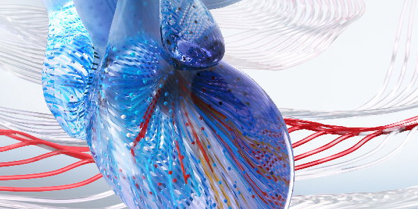 2025 Interventional Cardiology Online Board Review promotional image