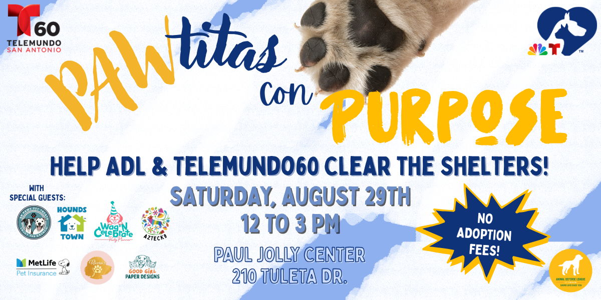 PAWtitas Con Purpose! promotional image