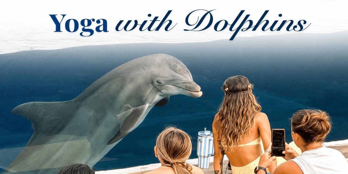 Yoga with Dolphins promotional image