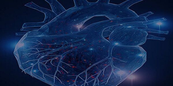 Structural Heart Intervention and Imaging CME Symposium - La Jolla, CA promotional image