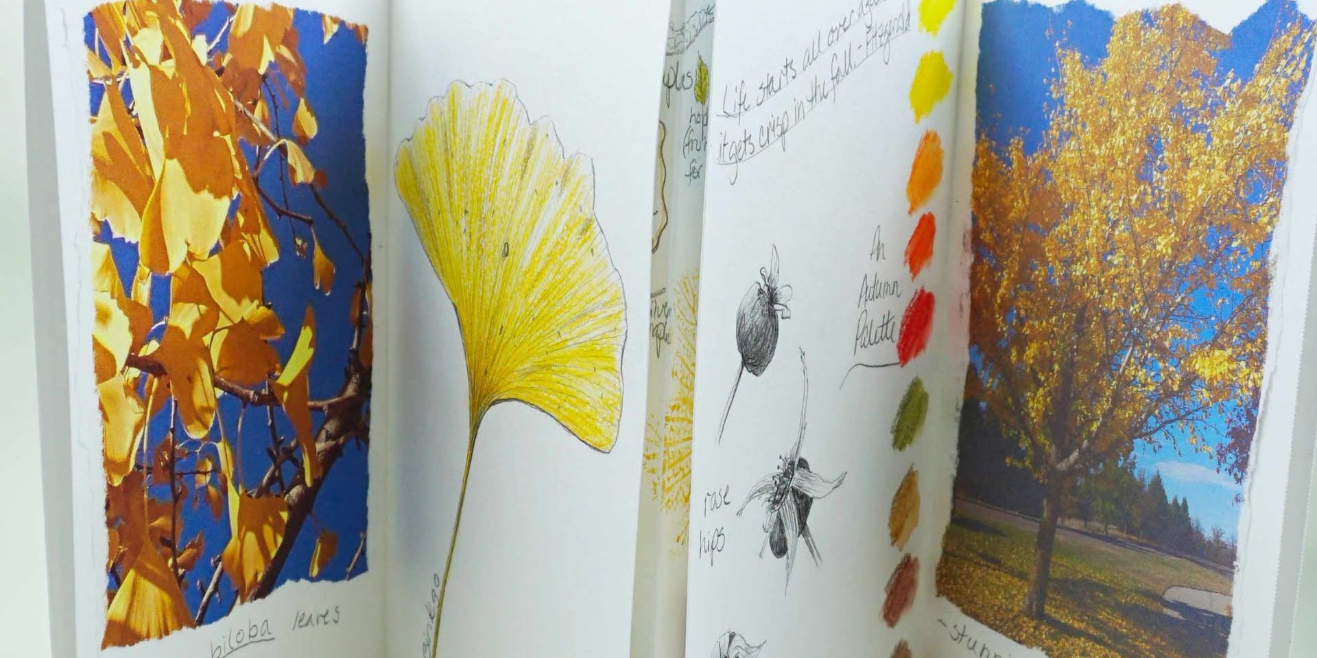Botanical Illustration: Fall Garden Journals promotional image