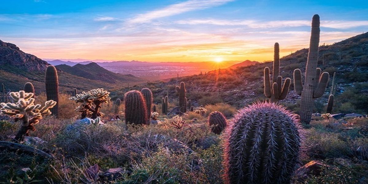 Mayo Clinic Innovations in Gastroenterology and Hepatology 2027: Artificial Intelligence and Beyond promotional image