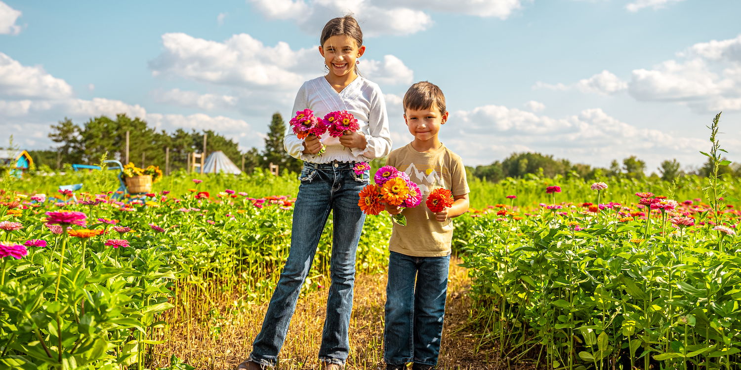 Flower Festival promotional image