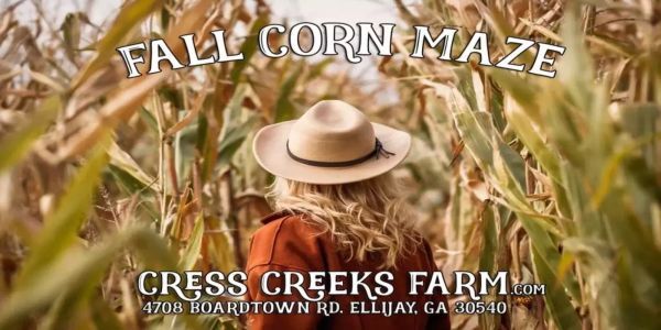 Ellijay Fall corn maze promotional image