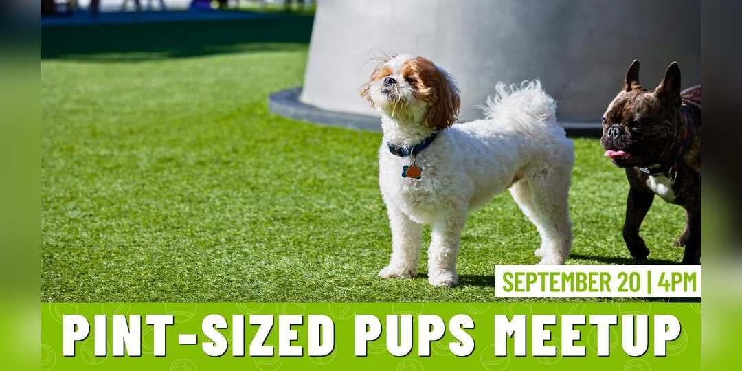 Pint-Sized Pups Meetup promotional image