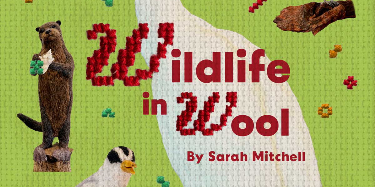 Wildlife In Wool | Sarah Mitchell promotional image