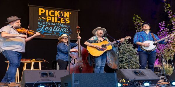 Pickin' in the Pines Bluegrass Festival Celebrates Two Decades of Bluegrass Entertainment  promotional image