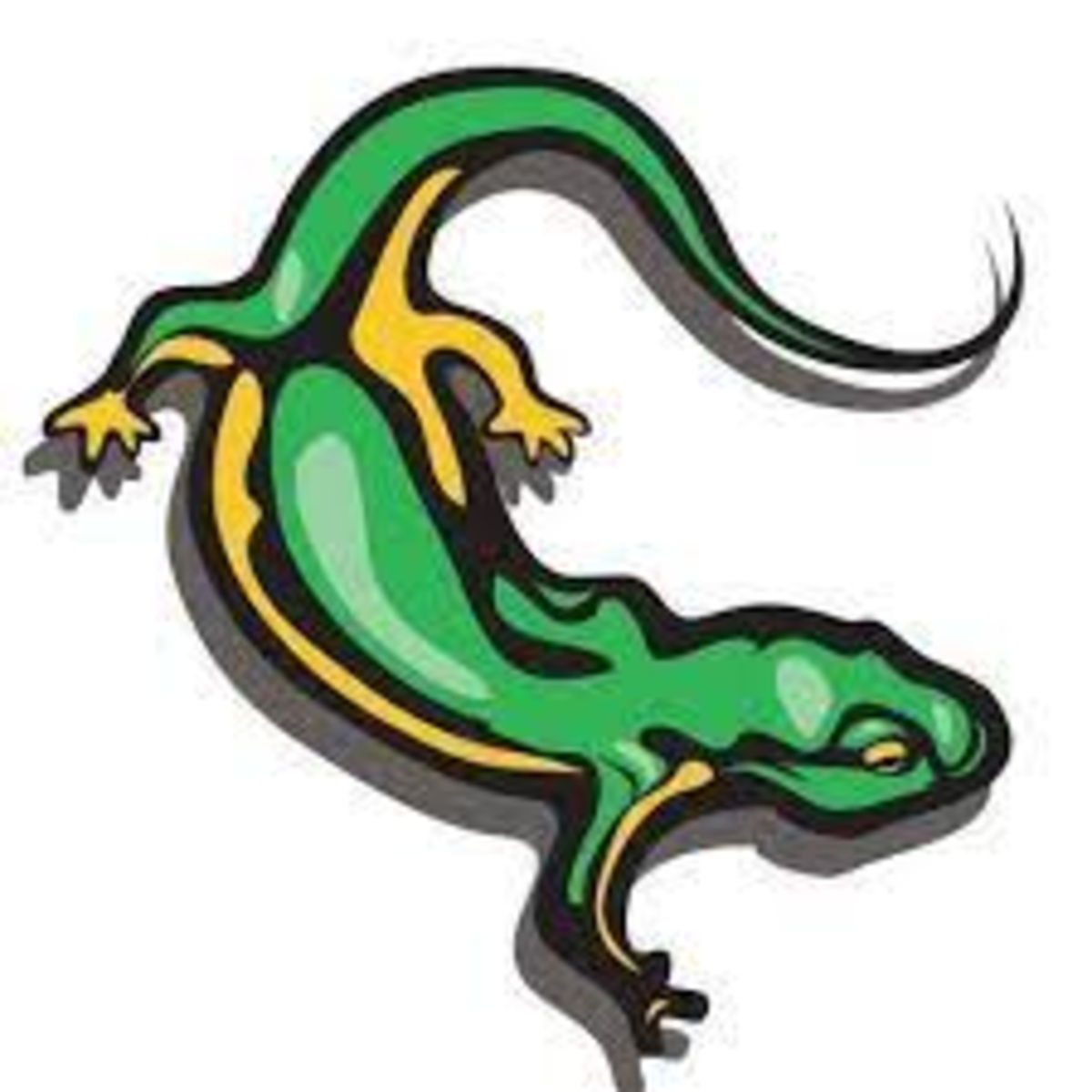 Company Profile Image