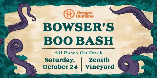 Bowser's Boo Bash promotional image