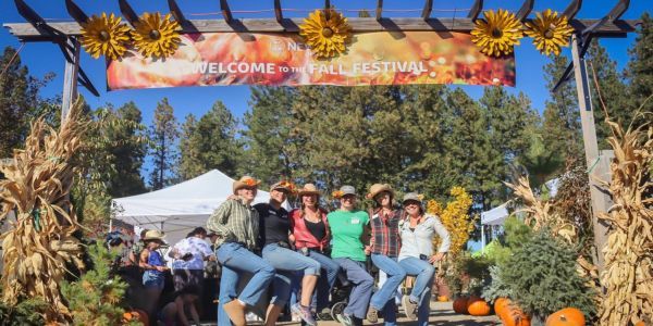New Leaf Nursery Fall Festival promotional image