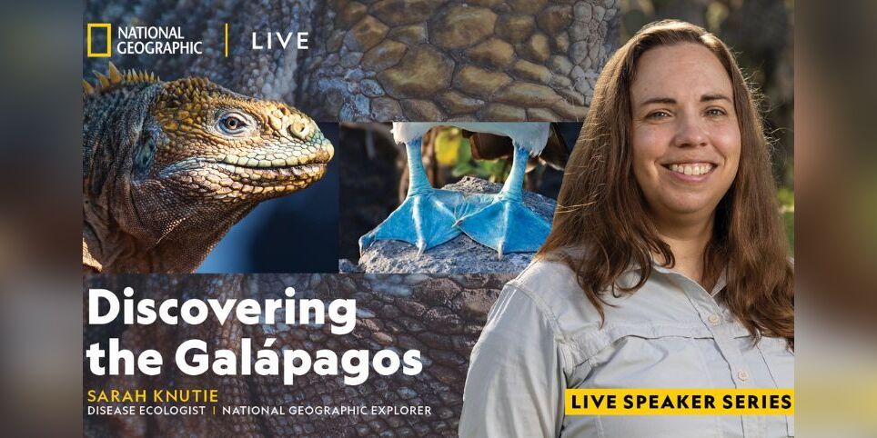 National Geographic Live Discovering the Galápagos promotional image