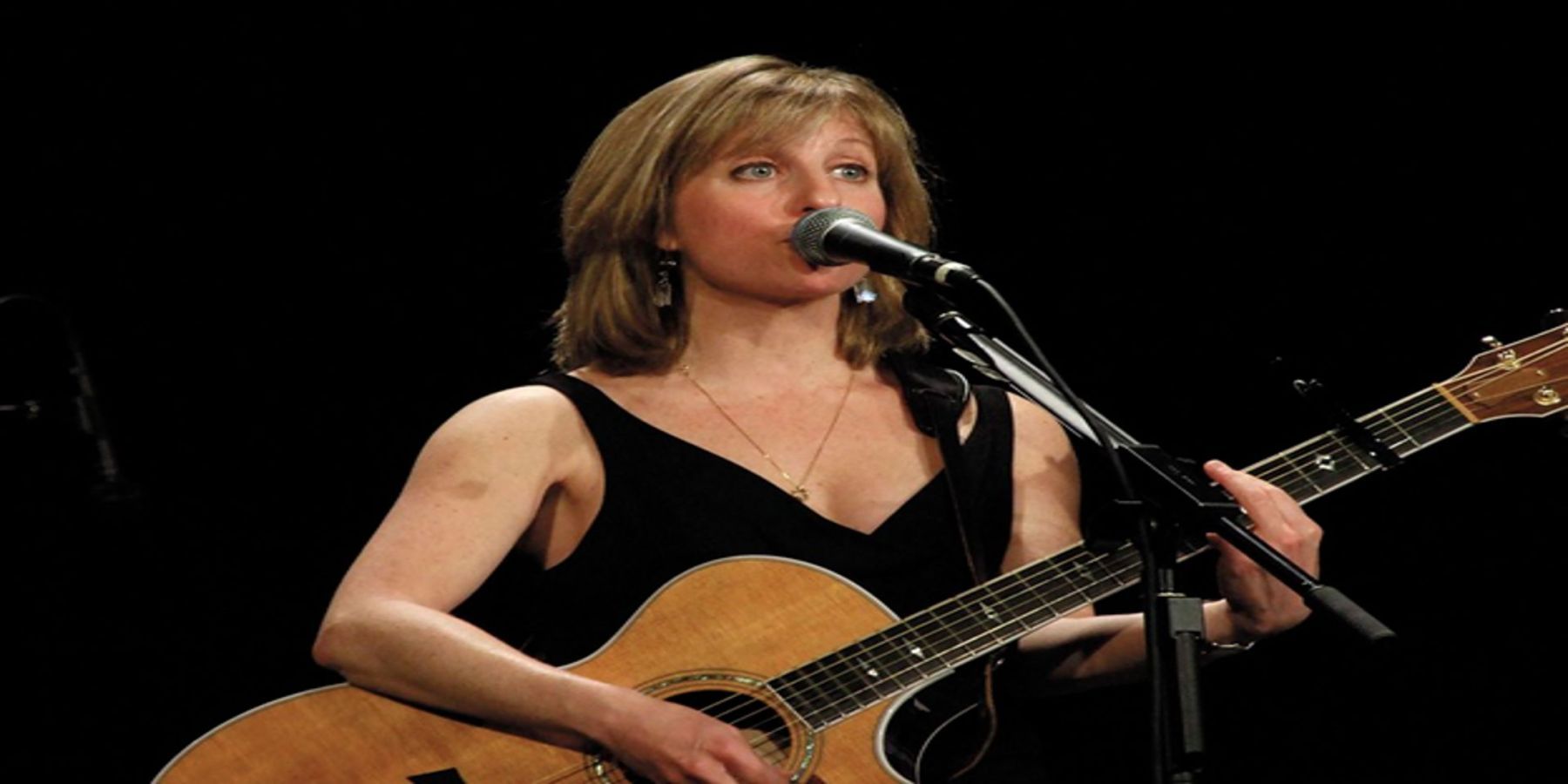 Susan Greenbaum in concert at the Shady Grove Coffeehouse promotional image