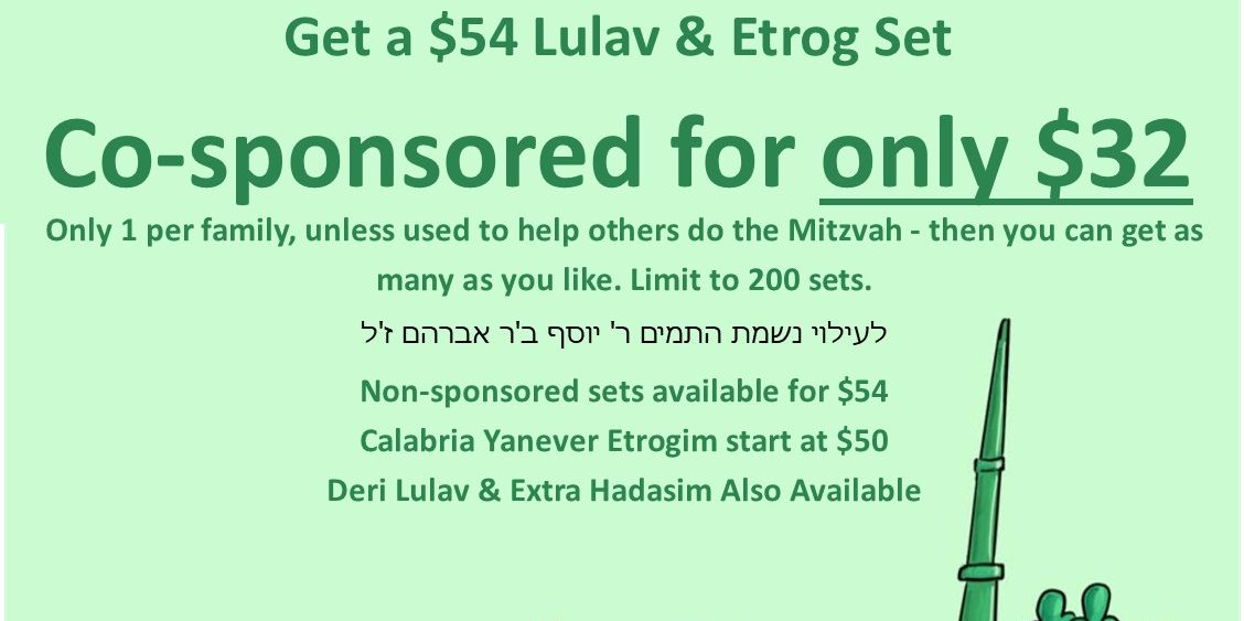 Lulav & Etrog Sets Available promotional image