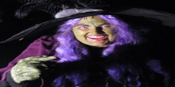 HAUNTED TRAIN 2026 at Ardenwood Historic Farm in Fremont CA promotional image