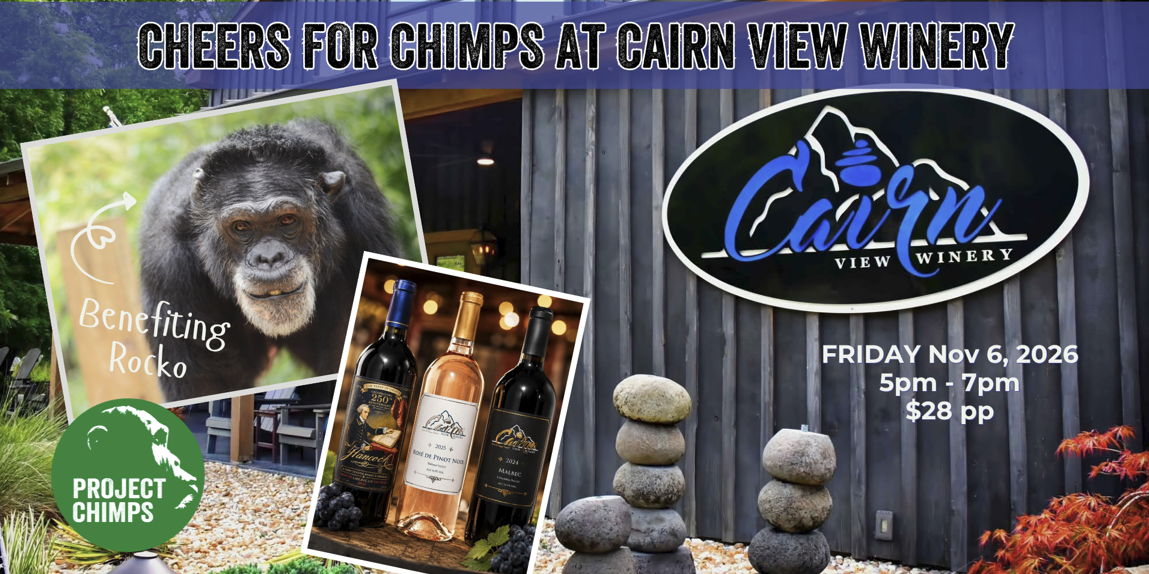 Cheers for Chimps at Cairn View Winery promotional image