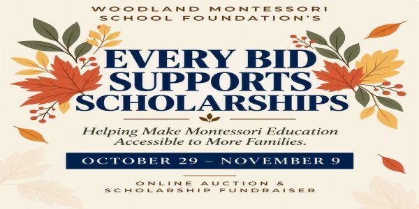 Fall Extravaganza Online Scholarship Fundraiser promotional image