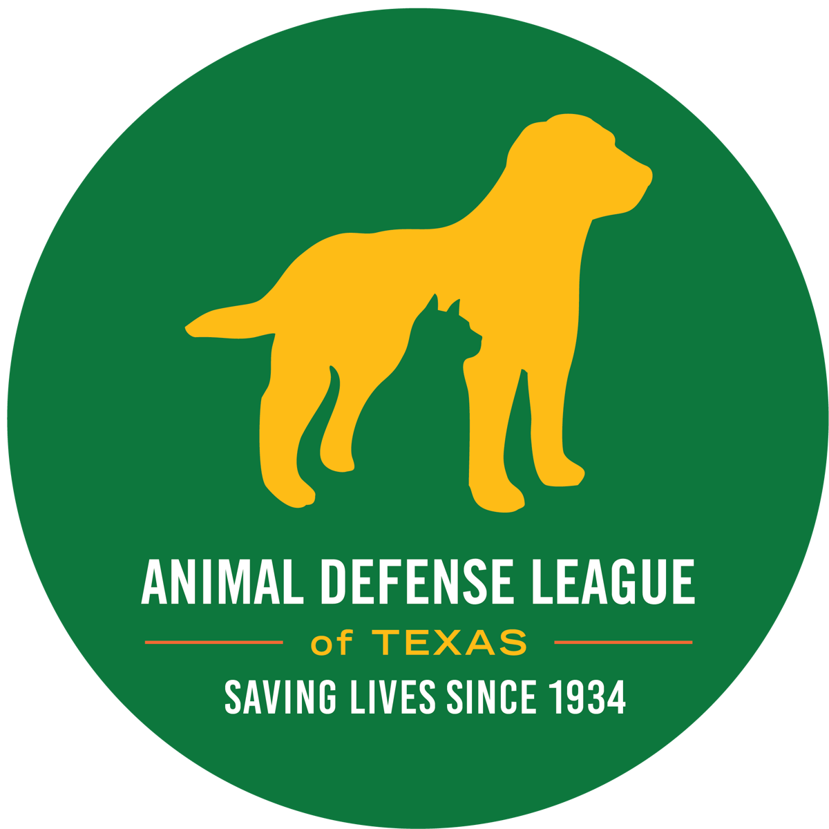 Company Profile Image
