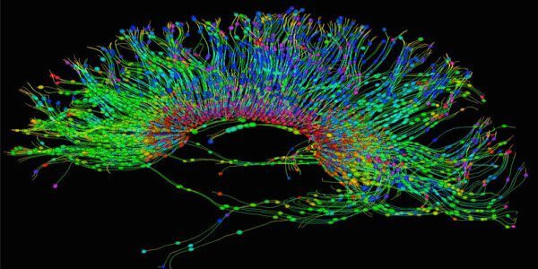 Mayo Clinic Neuro-Oncology Summit: Translating Breakthroughs into Practice promotional image