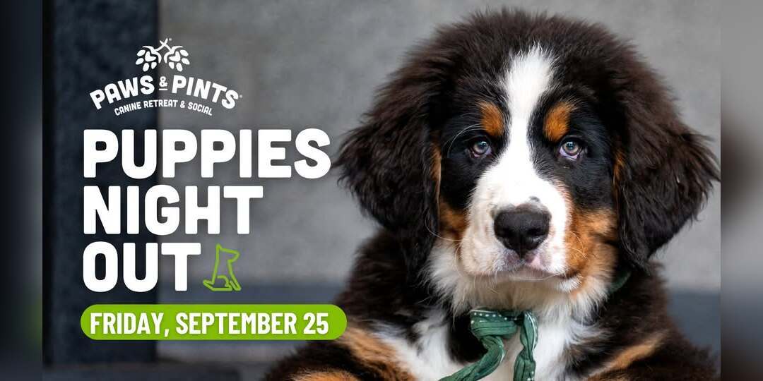 Puppies Night Out promotional image