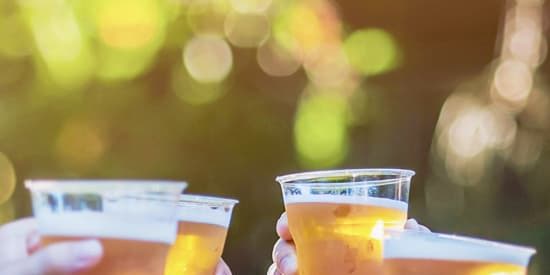 Long Island Summer Beer, Wine & Spirits Fest promotional image