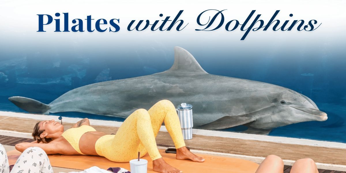 Pilates with Dolphins promotional image