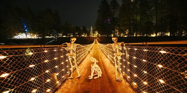 Canyon Frights at Capilano Suspension Bridge Park promotional image