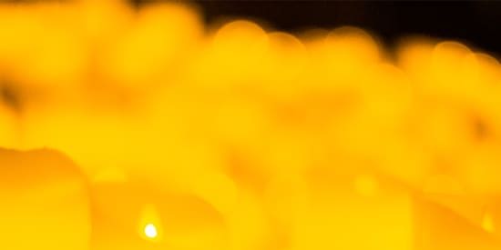 Candlelight: Tribute to Phoebe Bridgers promotional image