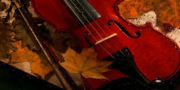 Lich Gate Concerts' Final Concert of the Season! promotional image