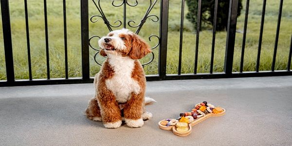 Yappy Hour at The Meritage: Paws on the Patio promotional image
