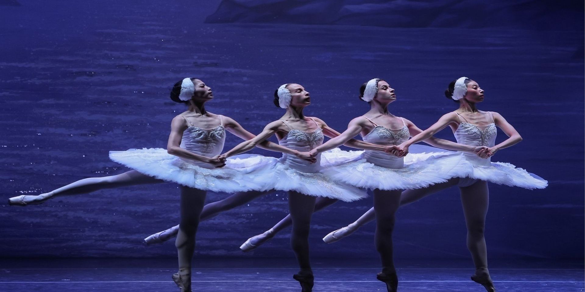Swan Lake by International Ballet Stars in St. Petersburg, FL promotional image