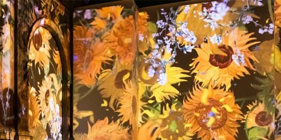 Van Gogh: The Immersive Experience promotional image