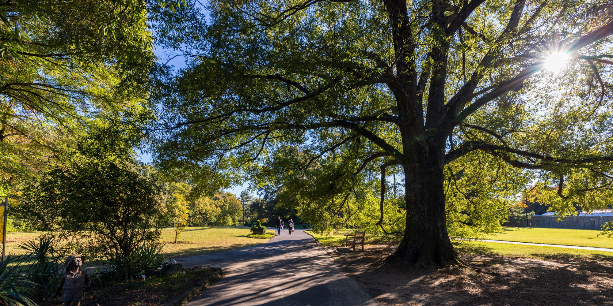 West Tennessee Chapter: TUFC Tree Giveaway promotional image
