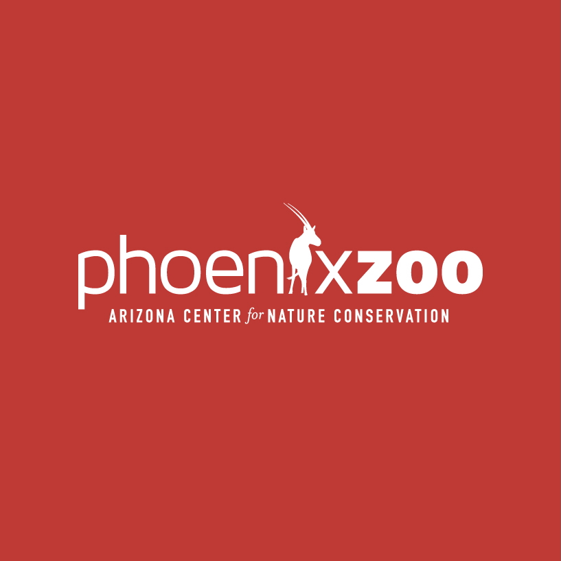 Company Profile Image