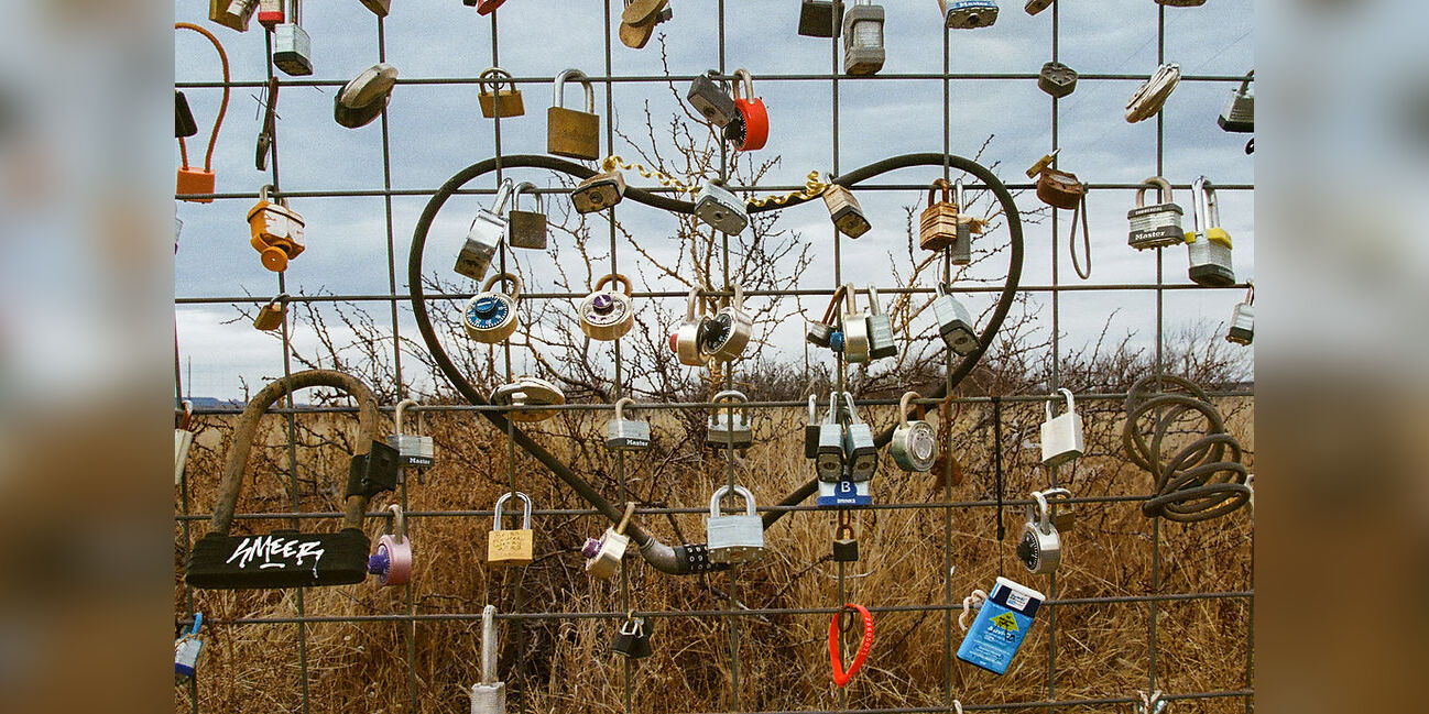 Photography + Stories — with Desiree Steele promotional image