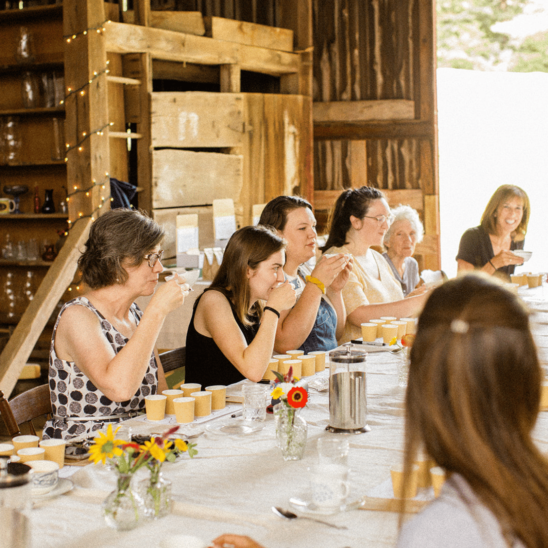 Holistic Holiday Reset: Yoga, Acupuncture & Herbal Workshop photo 1