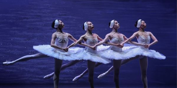 Swan Lake by International Ballet Stars in Kitchener, ON promotional image