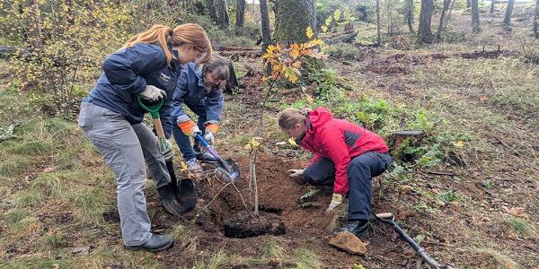 Westhills Park Restoration and FireSmart Event promotional image