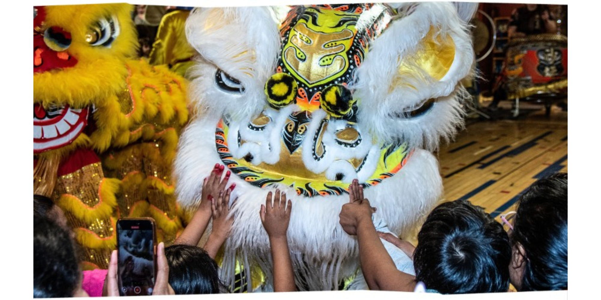 Asian American and Pacific Islander (AAPI) Heritage Celebration promotional image