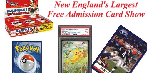 biggest pokemon card shows Illinois June The Best Flippin TCG Card