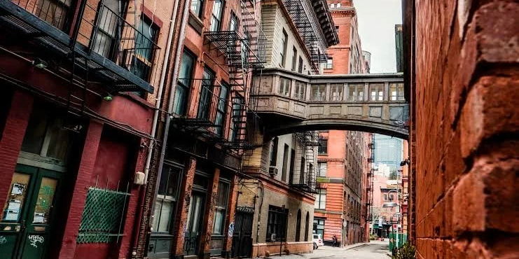 Bold, Strange & Beautiful: Gallery Breakfast + Tribeca Gallery Hop | NYC promotional image