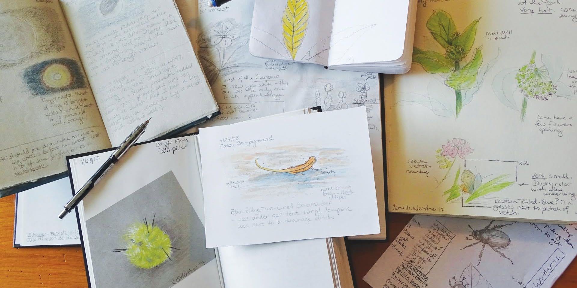 Observational Drawing Class promotional image
