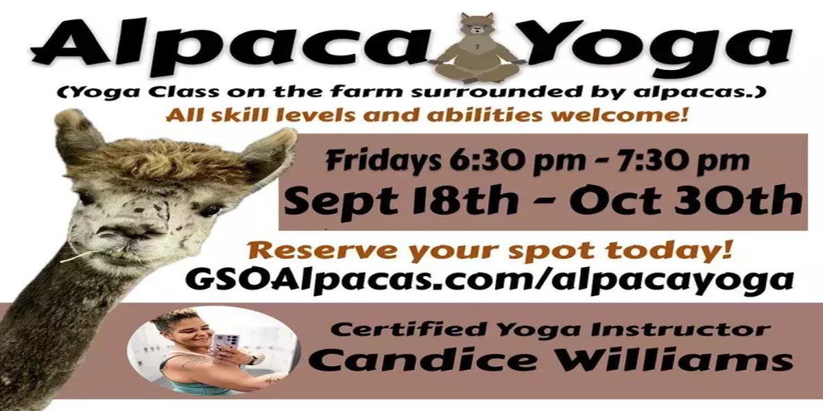 Alpaca Yoga promotional image