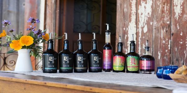 Organic Olive Oil Tastings and Farm Experiences at Gold Ridge Organic Farms promotional image
